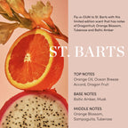 OUAI Body Cleanser, St. Barts - Foaming Body Wash with Jojoba Oil and Rosehip Oil to Hydrate, Nurture, Balance and Soften Skin - Paraben, Phthalate and Sulfate Free Skin Care Products (10 Fl Oz)