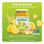 EverSmith Organics - Wildcrafted Irish Sea Moss Gel | Made in USA | Rich in Vitamins & Minerals | Sea Moss Gel Raw | Nutritional Supplement | Lemon Ginger (16 oz)