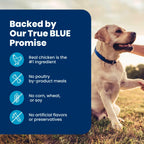 Blue Buffalo Life Protection Formula Chicken Senior 7+ Dry Dog Food, 15 lb