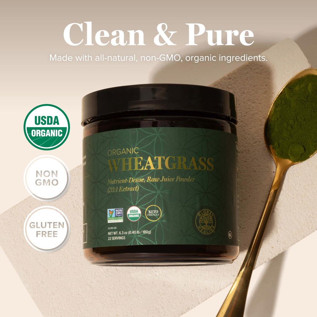 Global Healing Wheat Grass Powder Organic 180g - Nutrient-Dense, Raw Wheatgrass Juice Powder (33:1 Extract) with Strong Antioxidants for Immune Support & Energy Boost - Cold-Process, Non-GMO - 6.3 Oz