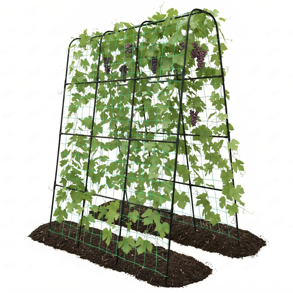 Trellume Cucumber Trellis - 62.4"*50" Cucumber Trellis for Raised Bed with Plastic-Coated Steel Pipe, U-Shape Garden Trellis for Climbing Plants, Garden Trellis for Cucumbers, Beans(Black)