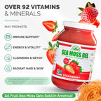 EverSmith Organics - Wildcrafted Irish Sea Moss Gel | Made in USA | Rich in Vitamins & Minerals | Sea Moss Gel Raw | Nutritional Supplement | Strawberry (16 oz)
