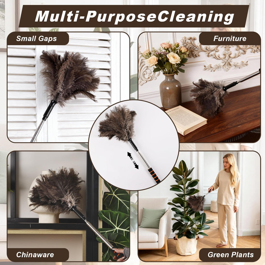 Extendable Ostrich Feather Duster 26-55 Inch, Natural Cleaning Duster with Sponge Grip and Stainless Steel Extension Pole Reusable for High Ceilings, Fans, Blinds, Furniture, Interior & Roof Dusting.