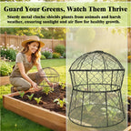 JAWULIJA Garden Cloches for Plants 2 Pack Metal Plant Protectors from Animals Chicken Wire Cloche Updated Plant Cages for Outdoor Plants Vegetables Seedlings 13" D x 14" H