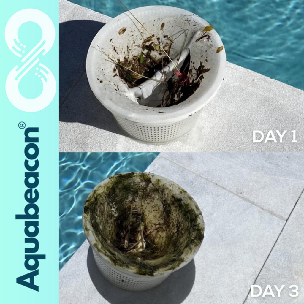 Aquabeacon® Premium 30-Pack Original Longer Lasting Pool Skimmer Socks with Aquabeacon PureGuard, Ultrafine Mesh Perfect Pool & Spa Savers for Filters, Baskets, and Skimmers