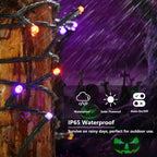 Joomer Orange Purple Halloween Solar Lights, 2Pack Total 144FT 400LED