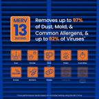AprilAire 213 Replacement Filter for AprilAire Whole House Air Purifiers - MERV 13, Healthy Home Allergy, 20x25x4 Air Filter (Pack of 2)