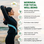 Organic Veda Moringa Seeds Capsules - Omega 3, 6, 9, Powerful Antioxidants, Vitamins, Amino Protein Rich Organic Moringa Seeds for Eating - Moringa Seed Powder Energy & Vitality, 120 Vegan Capsule