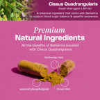 Mineral Moon Premium Berberine Supplement Body Composition, 60 Capsules - with Cissus Quadrangularis & Berberine Phytosome - Supports Overall Wellness
