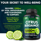 Secret Element Citrus Bergamot Extract 1000mg - Citrus Bergamot Supplement for Heart, Immune System Support, and Healthy Aging - Pure, Vegan Bergamot Capsules