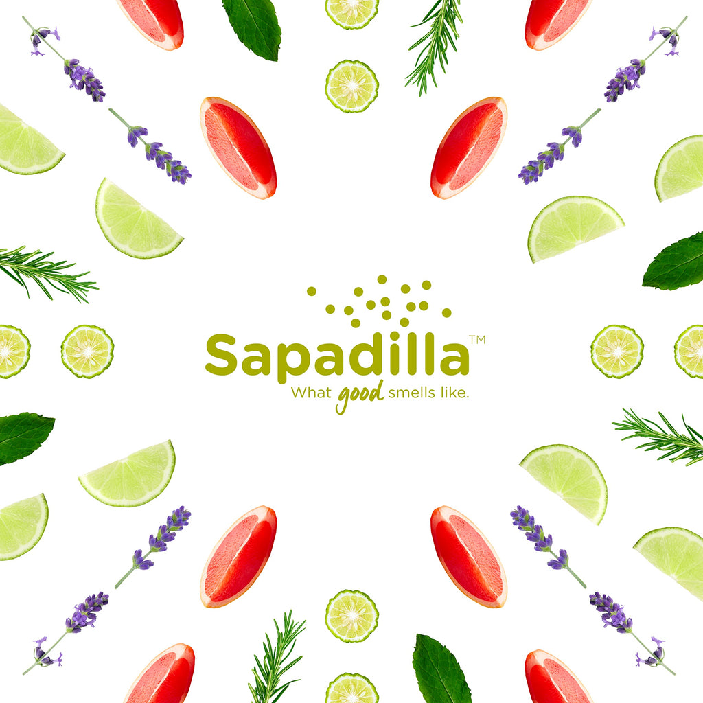 Sapadilla Liquid Hand Soap - Rosemary + Peppermint - Made with 100% Pure Essential Oil Blends, Cleansing & Moisturizing, Aromatic & Fragrant Hand Soap, Plant Based, Biodegradable, 12 Ounce (Pack of 3)