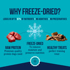 Stewart Freeze Dried Dog Treats, 100% Beef Liver, 21 oz Tub