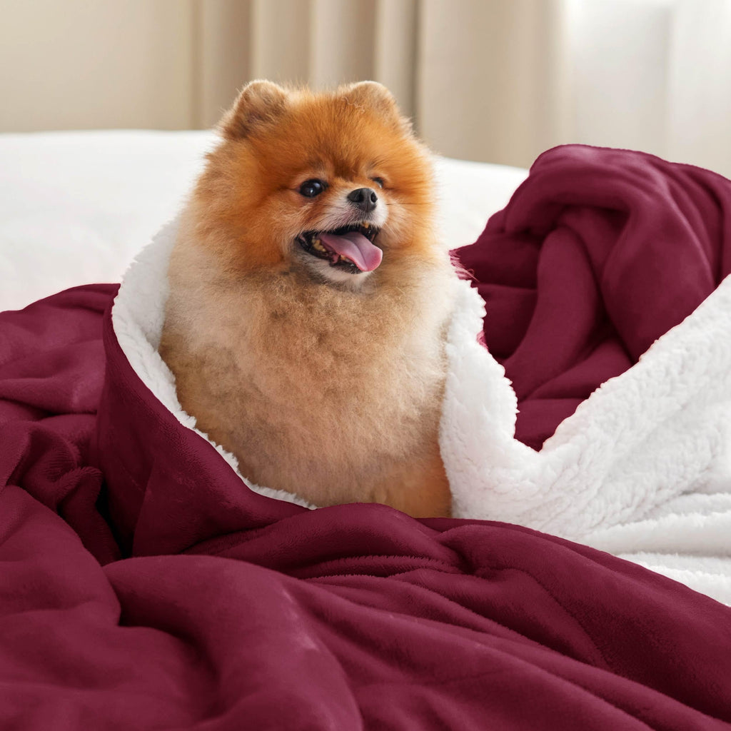 Bedsure GentleSoft Sherpa Fleece Throw Blanket for Couch, Non-Heated, Thick and Warm Throw for Girls and Women, Soft Fuzzy Plush Blanket for Winter, Red, 50x60 Inches