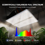 Spider Farmer SF4000 LED Grow Lights for Indoor Plants in 4x4 Grow Tent