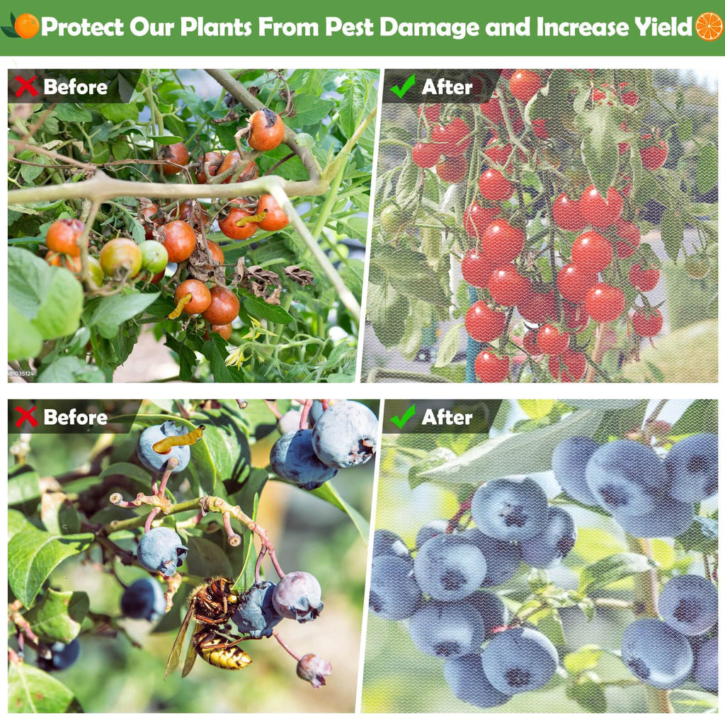 4Ft x 6Ft Blueberry Bush Netting Cover,Bird Netting for Blueberry Bushes