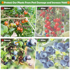 4Ft x 6Ft Blueberry Bush Netting Cover,Bird Netting for Blueberry Bushes