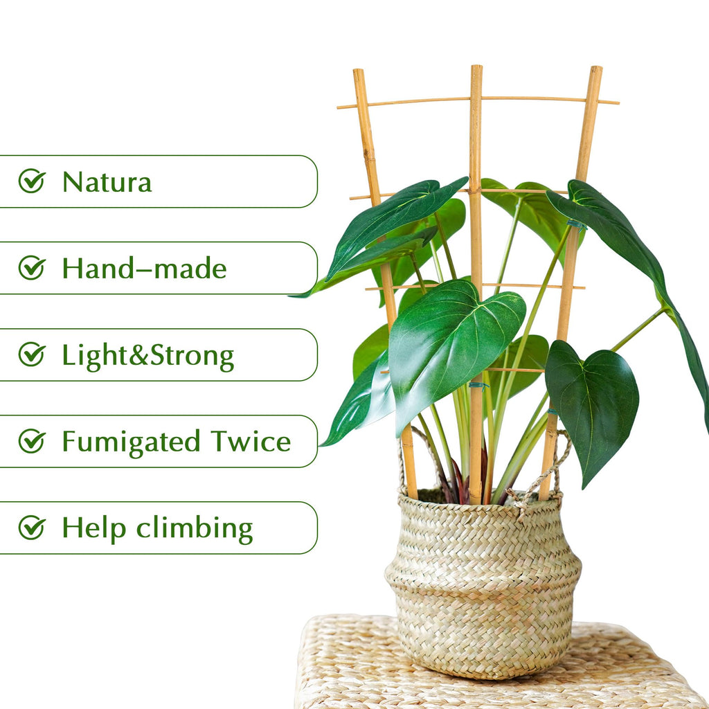 Bamboo Trellis, 12pack 16 Inch Small Plant Wood Bamboo Trellis for Climbing Plants Indoor Potted Plants