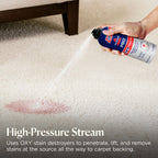Bissell Professional Power Shot Oxy Carpet Spot & Stain Remover, 14 oz (Pack of 2), 95C9L