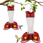 Perky-Pet Glass Hummingbird Feeders for Outdoors, 8 oz Nectar Capacity