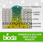 Bioda Multi-Purpose Probiotic Enzyme Cleaner and Deodorizer | Professional Strength | Trash Can Deodorizer, Pet Stains and Odors, Drains, Floors, Bathrooms, Toilets | Made in USA | 1 Gallon