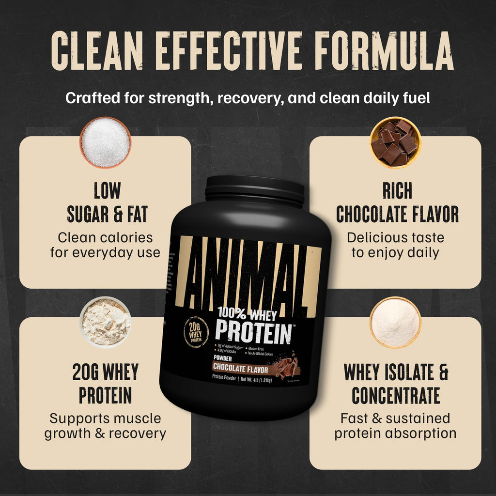 Animal 100% Whey Protein Powder – Whey Blend for Pre Workout or Post Workout, Recovery, or an Anytime Low Sugar Protein Boost Meal Replacement with BCAA Branched Chain Amino Acids – Chocolate, 4 lb