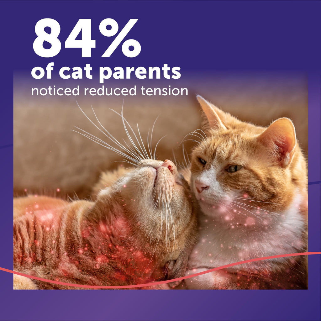 FELIWAY MultiCat Cat Calming Pheromone Diffuser Refill - 1 Pack