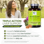 New Nordic Active Liver Gummies, Milk Thistle, Artichoke & Turmeric Supplement, Natural Peach & Mango Flavor, Sugar Free & Vegan, 60 Count (Pack of 3)