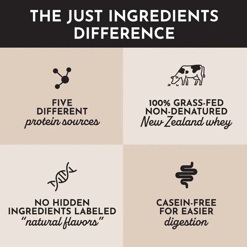Just Ingredients Chocolate Peppermint Protein Powder