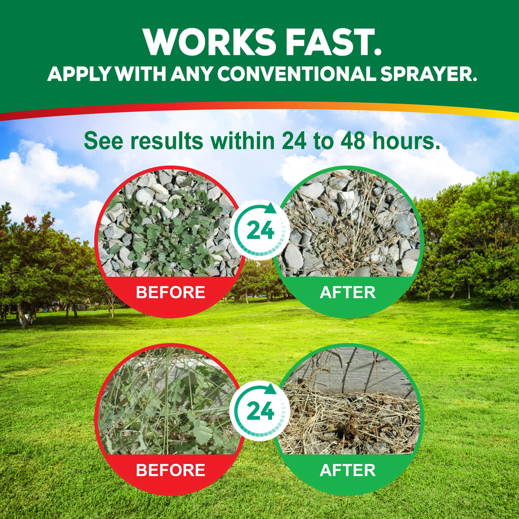 Eco Living Solutions Weed Killer Concentrate - Pet Safe, Organic Spray for Grass, Moss, Crabgrass & Dandelion | Glyphosate Free Herbicide (32 oz)