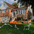 IDMOP 5.4Ft Halloween Skeleton - Life Size Full Body Realistic Human Bones with Posable Joints for Halloween Pose Skeleton Prop Decoration