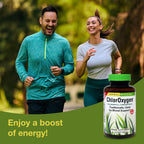 Herbs Etc. ChlorOxygen Chlorophyll Concentrate - Aids Healthy Blood Circulation - High-Altitude Environment Support - Energy Support - 120 Softgels (120 Servings)