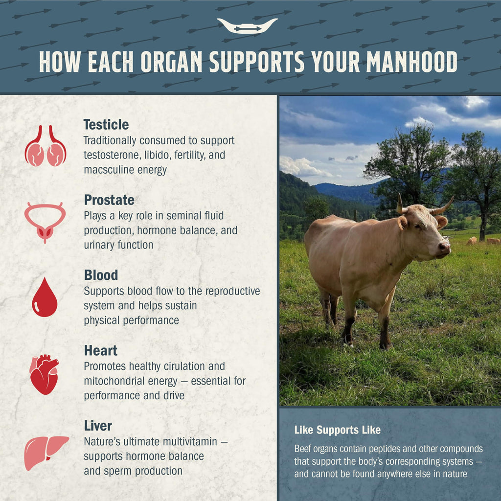 Tribal Nutrition 100% Grass Fed Beef Testicle with Prostate, Blood, Liver & Heart - Beef Organ Supplement for Men - 3000mg / 30 Servings