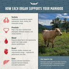 Tribal Nutrition 100% Grass Fed Beef Testicle with Prostate, Blood, Liver & Heart - Beef Organ Supplement for Men - 3000mg / 30 Servings