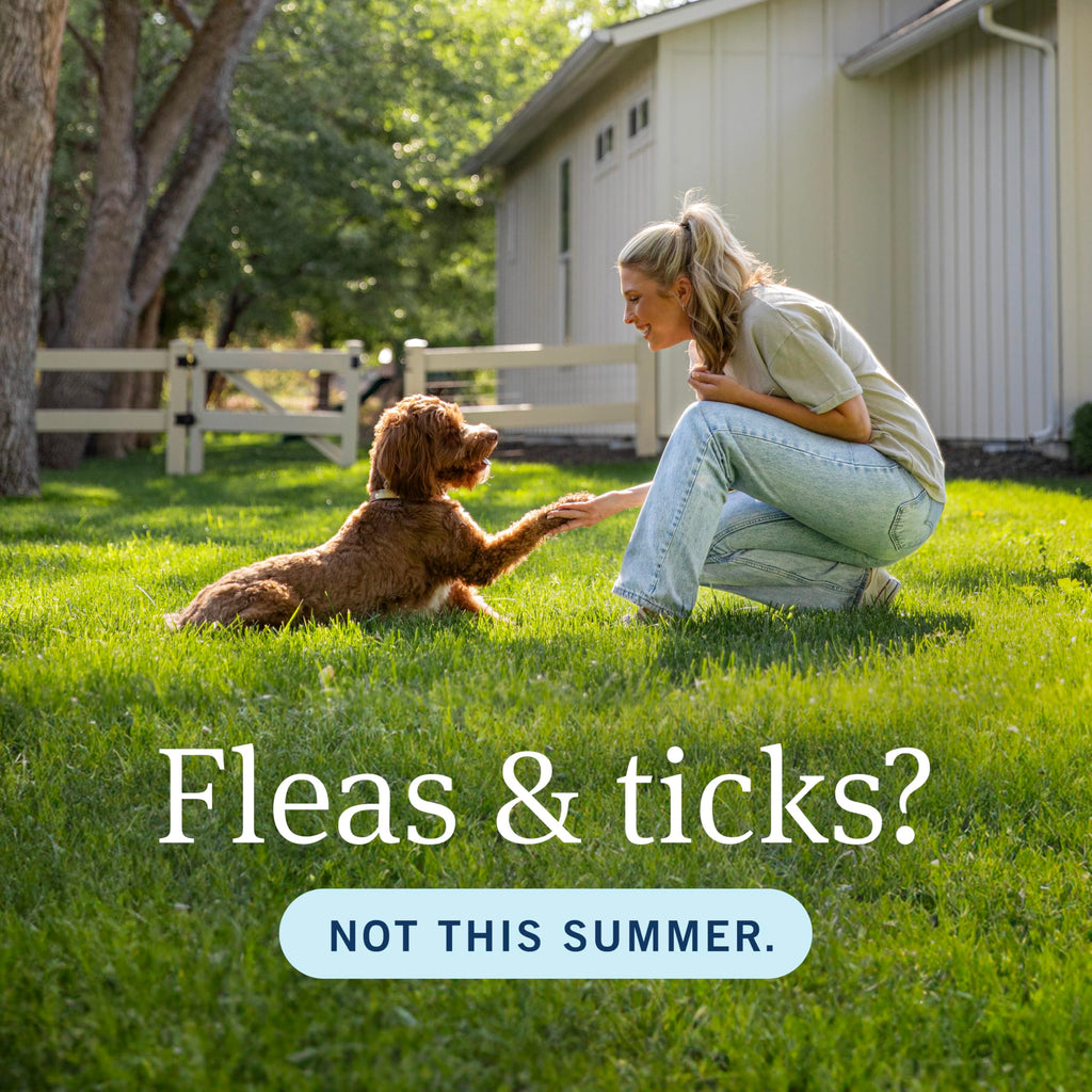 PetArmor Plus Flea & Tick Topical Dogs 5-22 lbs, 3-Month