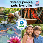 MICROBE-LIFT BMC Biological Mosquito Control, Liquid Treatment for Medium-Sized Decorative Water Gardens Up to 2,000 Gallons, Fountains and Ponds, 2 Fluid Ounces