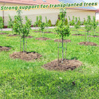 2,425 Lbs Strength Tree Straps, 216FT Tree Tie Support Straps for Staking