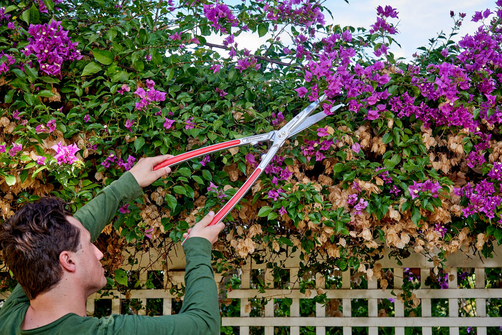 Corona Tools PrecisionCUT Aluminum Hedge Shear – Lightweight Hedge Clippers for Trimming Hedges, Shrubs & Bushes, Garden Landscaping Shears