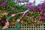 Corona Tools PrecisionCUT Aluminum Hedge Shear – Lightweight Hedge Clippers for Trimming Hedges, Shrubs & Bushes, Garden Landscaping Shears