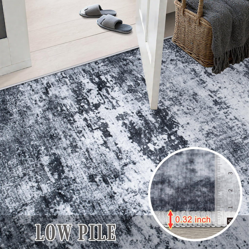 FXRHLP 5x7 Area Rug Living Room: Modern Washable Indoor Carpet Black