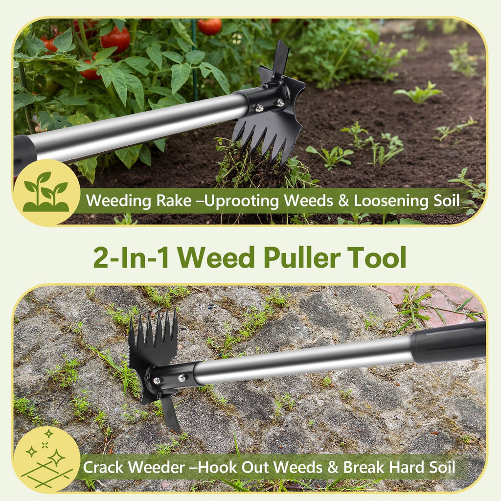 2 in 1 Crack Weeder and Weed Puller with 57" Long Handle for Outdoor Use