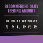 Cesar Small Breed Dry Dog Food, Filet Mignon & Spring Vegetables, 12 lb