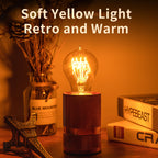 runquiz Round Edison Light Bulbs,G25 2200k LED Globe Light Bulbs,Warm Yellow Amber Light Bulbs,Pastel Low Watt Spiral Filament Edison Bulb 4W=40Watt,Vintage Old Fashioned Retro Filament Light Bulb