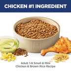 Hill's Science Diet Adult 1-6 Small & Mini Dry Dog Food