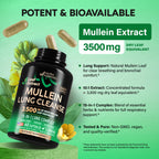 Mullein Lung Detox - Mullein Leaf Extract - Marshmallow Root | Echinacea | Oregano | Quercetin | NAC - 15-in-1 Lung Support & Cleanse for Smokers Supplement - Made in USA - As Drops - 60 Capsules