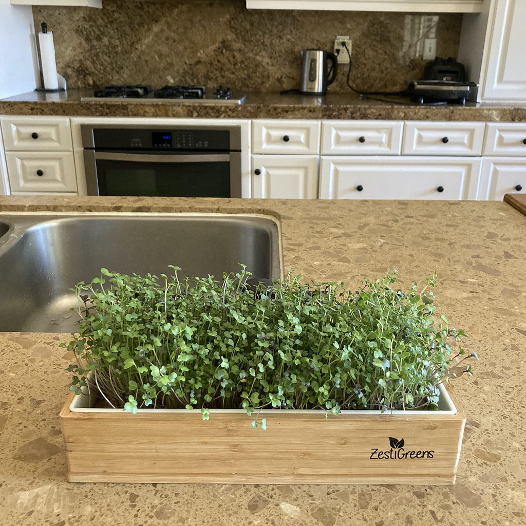 Microgreens Kit Refills - 9 Mats and 9 Different USA Seed Packs