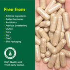 Organika Goutrin Uric Acid Flush for Gout (120 Caps): Gentle Gout Support with Cherry, Thyme, Celery Seed, Peppermint, & VIT C: Clean & Vegan Gout Supplements for Men & Women - Metabolism & Mobility