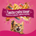 Friskies Purina Gravy Swirlers Dry Cat Food, Chicken & Salmon, 16 lb Bag
