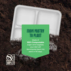 100% Compostable Paper Plate 125-Pack 5-Compartment Bagasse School Lunch Tray, Heavy Duty Quality Disposable Tray, Eco-Friendly Made of Sugar Cane Fibers