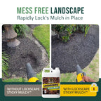 Lockscape Sticky Mulch Glue for Landscaping (2.5G x 2) - Lasts Up to 2 Years, Non-Toxic, Ultra Concentrated Landscape Binder - Strong Mulch and Rock Glue for Landscaping Pea Gravel, Pine Straw & More