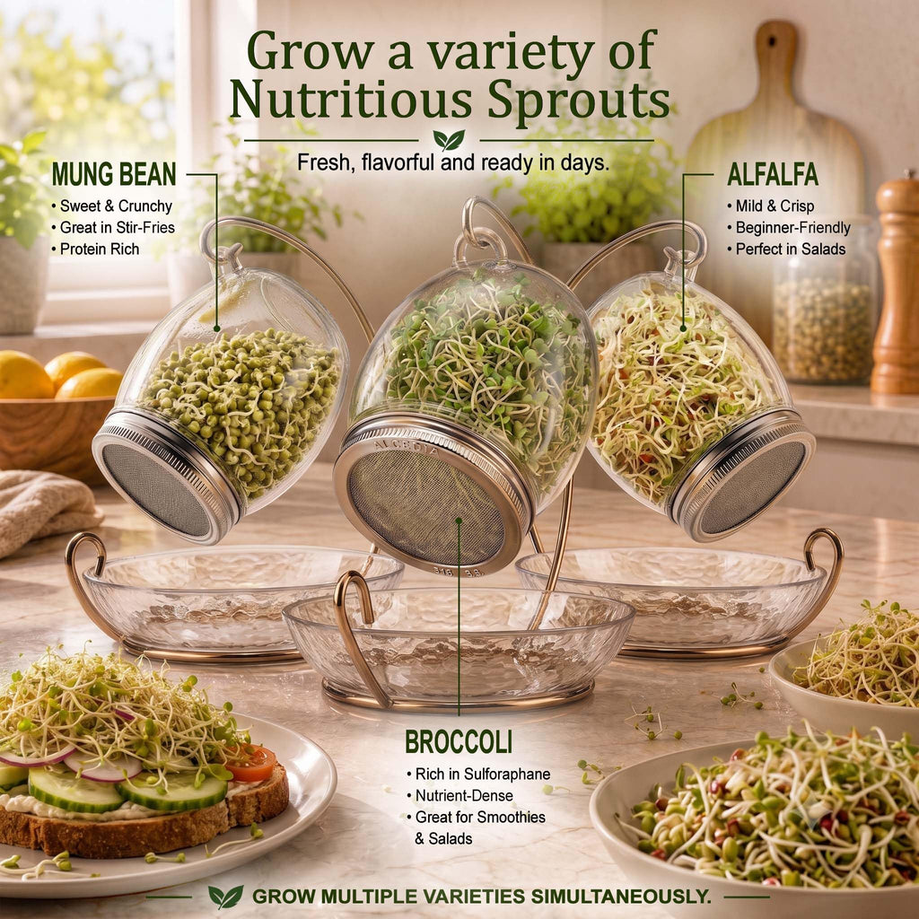 ALCEDIA Premium Sprouting Jar Kit - Unique 30 oz Wide Mouth Sprouting Jar, Stand, Tray and 316 Stainless Screen Lid | Decorative Indoor Seed Sprouter and Germinator (1 Kit)